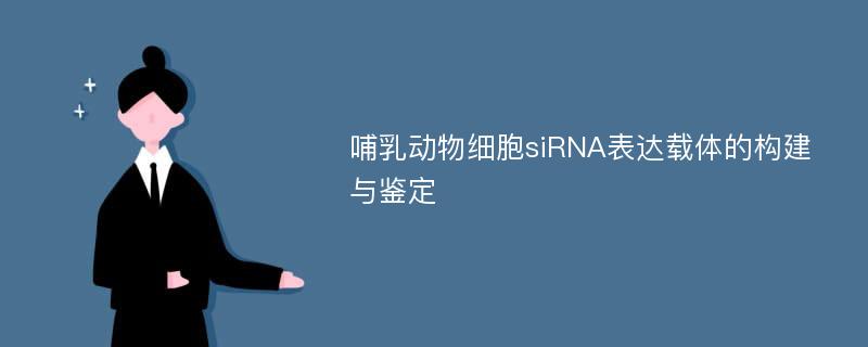 哺乳动物细胞siRNA表达载体的构建与鉴定