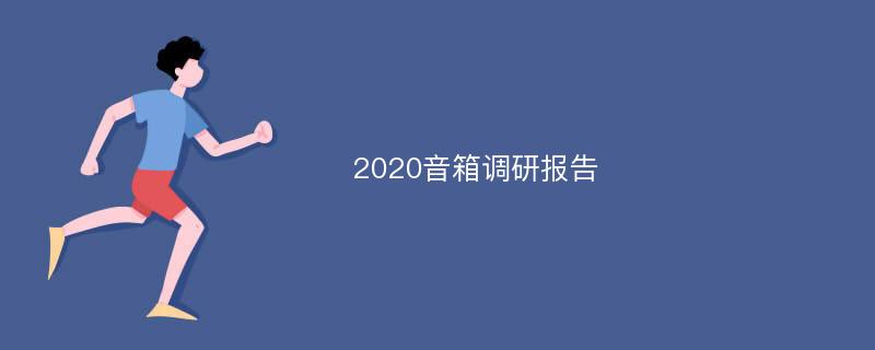 2020音箱调研报告